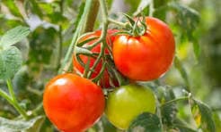 AgriTech One Farming